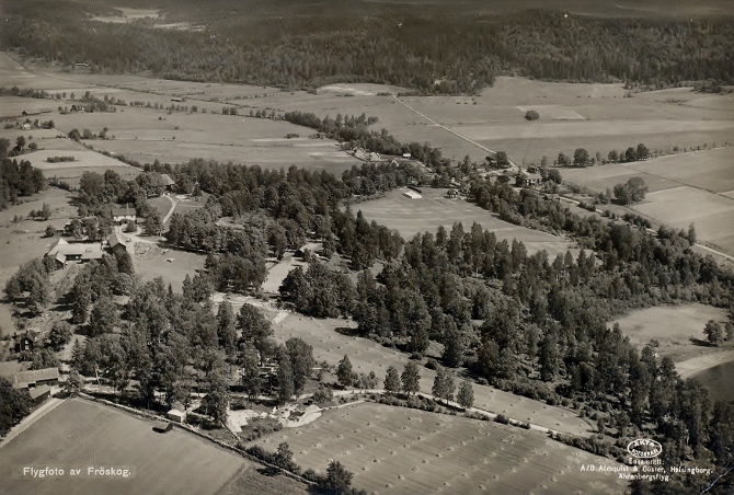 Fröskog från ovan