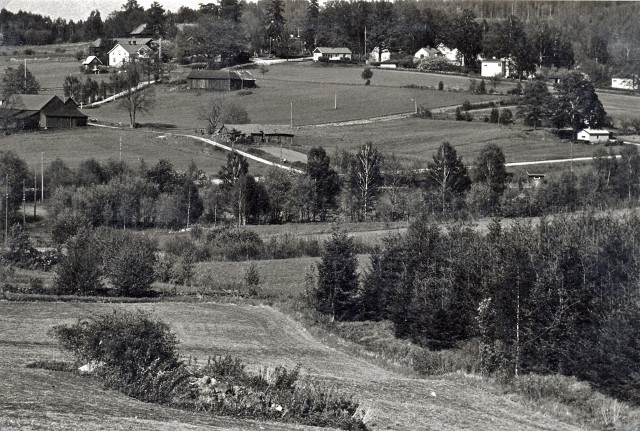 Fröskog